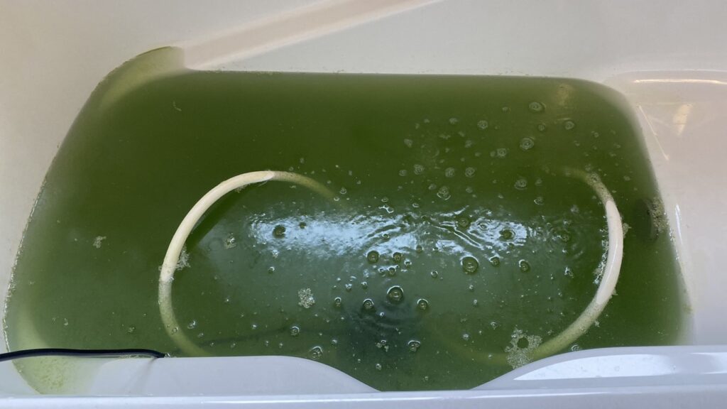 風呂釜クリーニングで配管から流れ出た大量の汚れ